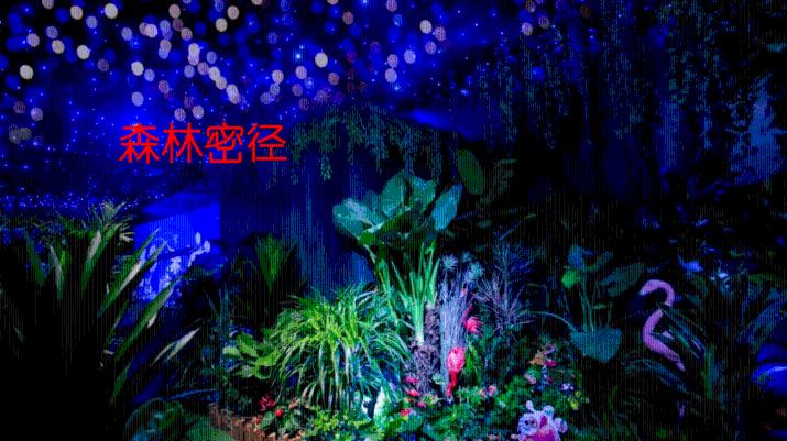 在《炉石传说》游戏中有哪些职业人物是玩家是使用率较高的？游戏画面